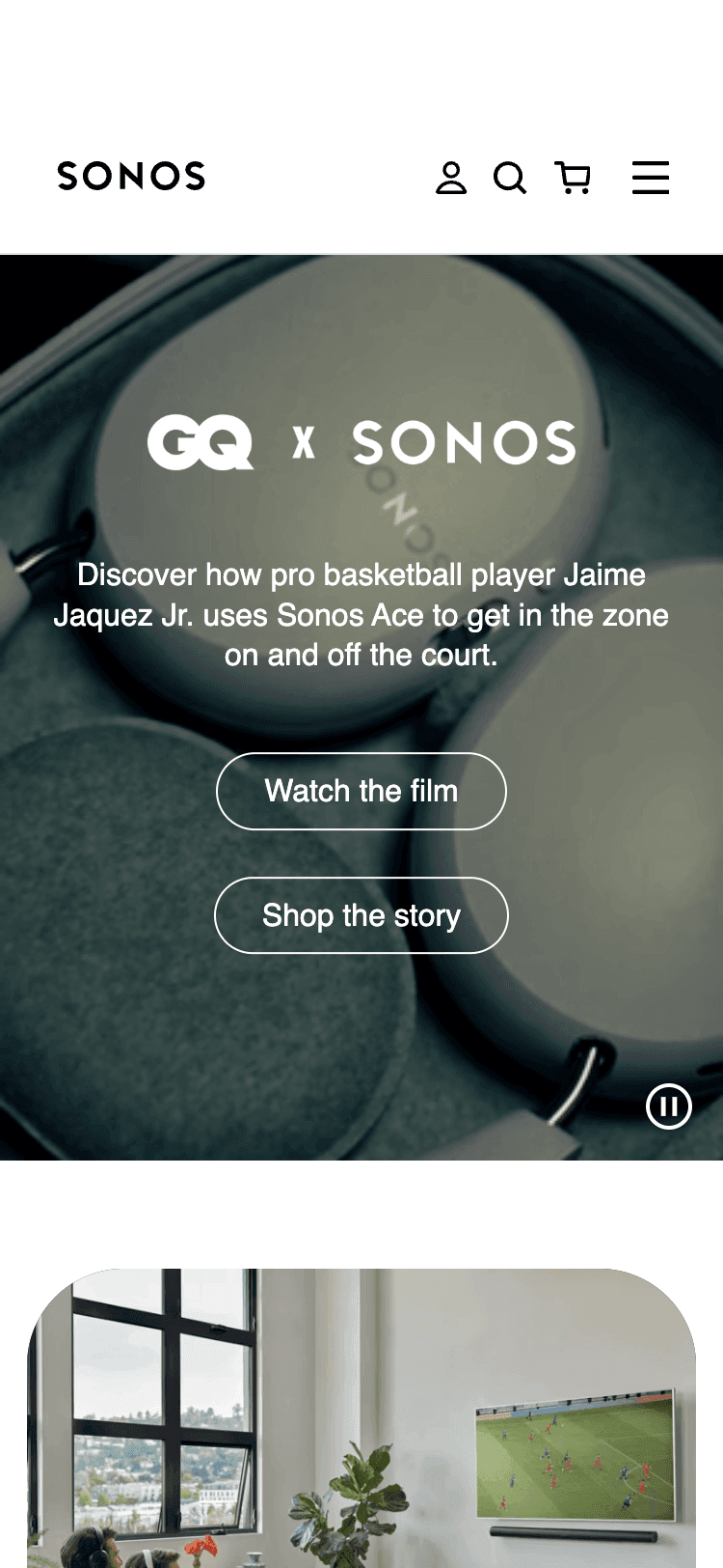 Sonos (Mobile)
